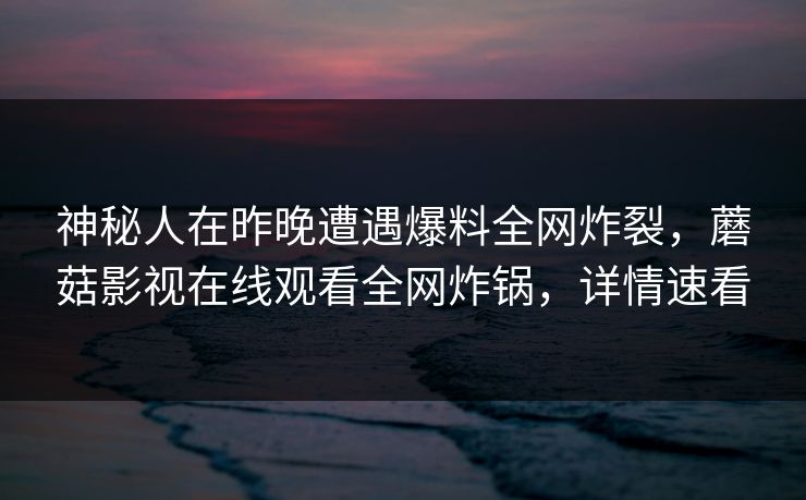神秘人在昨晚遭遇爆料全网炸裂,蘑菇影视在线观看全网炸锅,详情速看