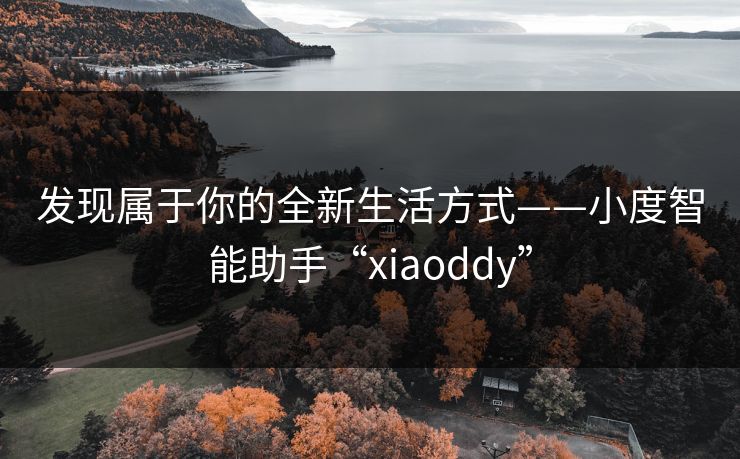 发现属于你的全新生活方式——小度智能助手“xiaoddy”