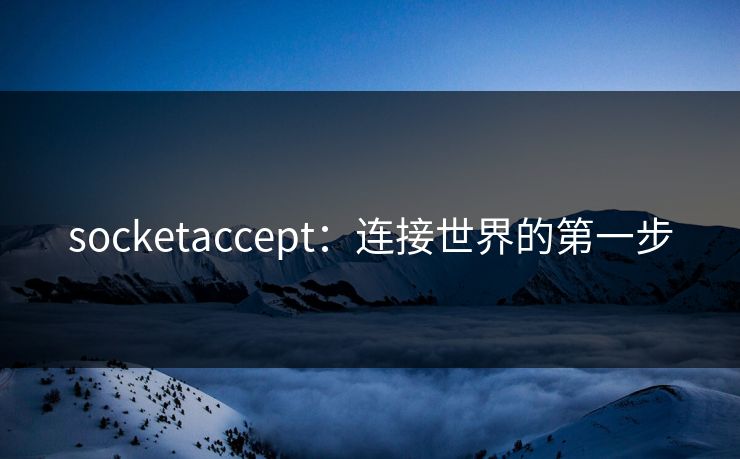 socketaccept：连接世界的第一步