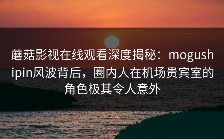 蘑菇影视在线观看深度揭秘：mogushipin风波背后，圈内人在机场贵宾室的角色极其令人意外