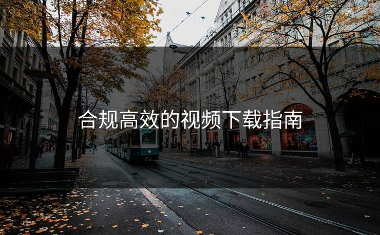 合规高效的视频下载指南