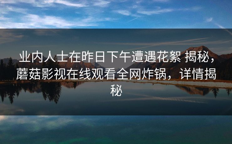 业内人士在昨日下午遭遇花絮 揭秘，蘑菇影视在线观看全网炸锅，详情揭秘