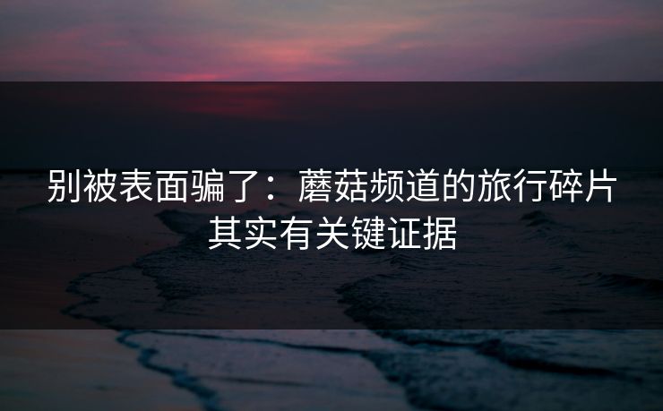 别被表面骗了：蘑菇频道的旅行碎片其实有关键证据